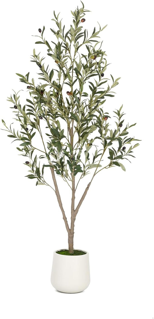VIVATREES Olive Trees Artificial Indoor, 6FT Tall Faux Olive Tree with White Tall Planter, Artificial Plants with Natural Wood Trunk and Lifelike Fruits for Home Office Decor