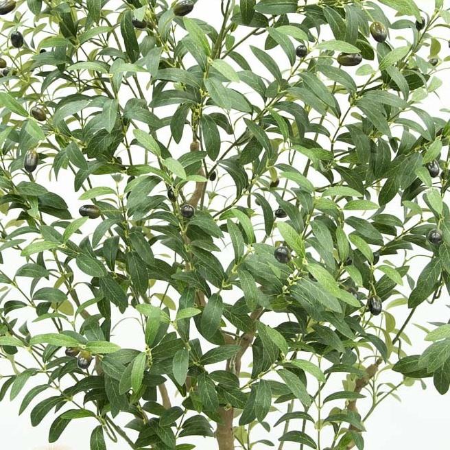 S760 Realistic Artificial Olive Tree for Home & Wedding Decoration